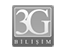 3g icon